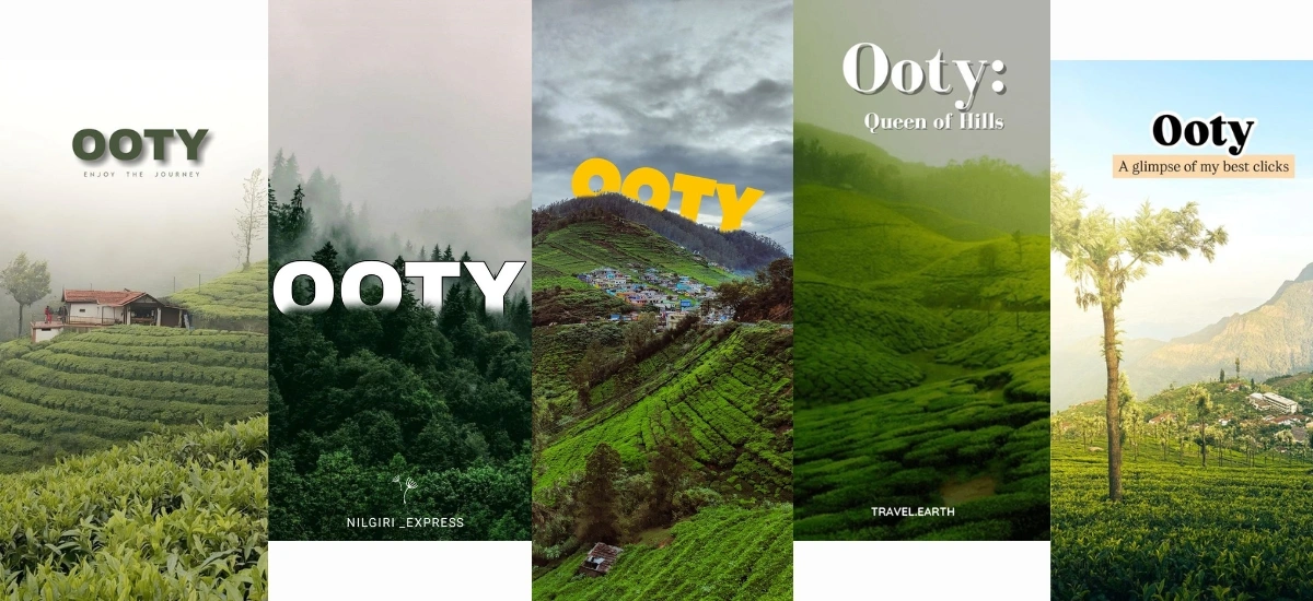 Ooty Trip Cost